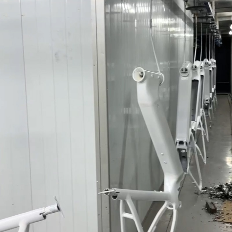 4-Painting Suspension Line