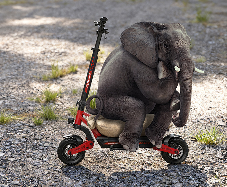 Superior Load-Bearing Capacity