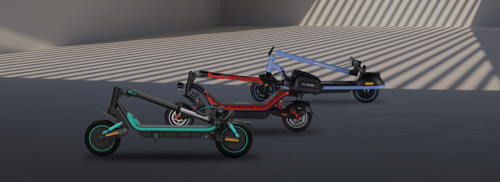 FESHINE Folding Electric Scooter